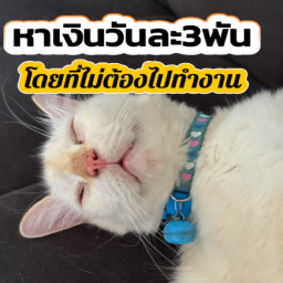 ด่วน!!! หาเงินออนไลน์วันละ 3000 เข้าวอเลท